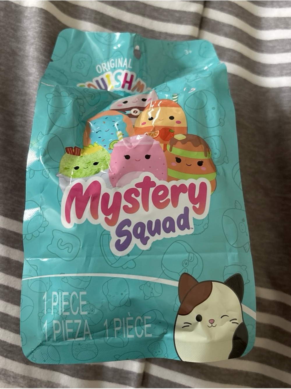 Squishmallows Mystery Squad Blind Bag - Teal Packaging